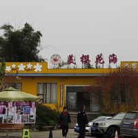 評論圖片 3