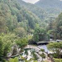 評論圖片 4