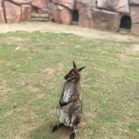 評論圖片 4