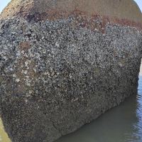 評論圖片 3