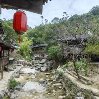 評論圖片 3