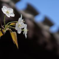 評論圖片 5