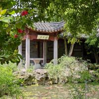 評論圖片 6