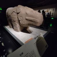 評論圖片 2