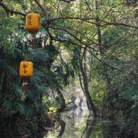 評論圖片 1