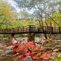 評論圖片 3