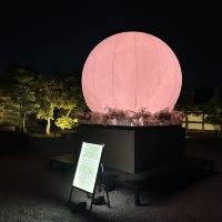 評論圖片 2