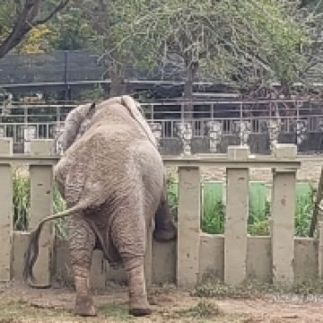 評論圖片 7