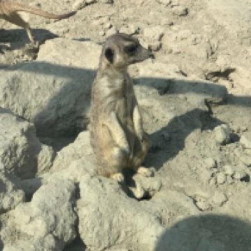評論圖片 2