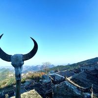 評論圖片 5