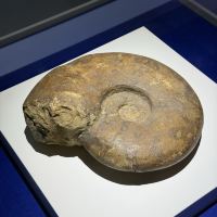 評論圖片 8