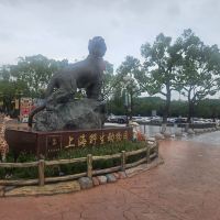 評論圖片 2