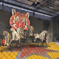 評論圖片 9