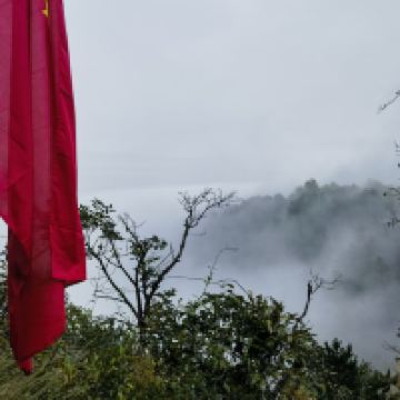 評論圖片 2