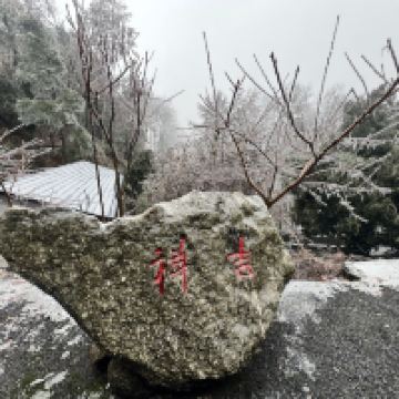 評論圖片 4