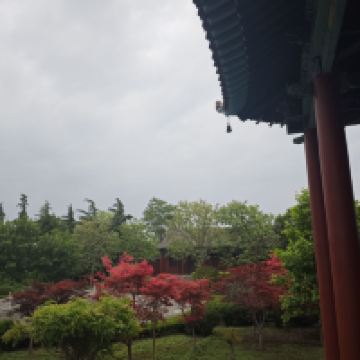 評論圖片 4