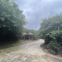 評論圖片 9