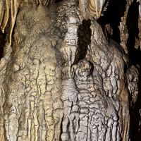 評論圖片 1