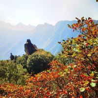 評論圖片 9
