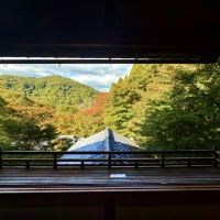 評論圖片 4