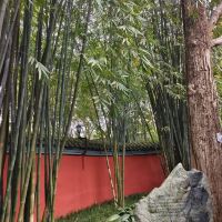 評論圖片 3
