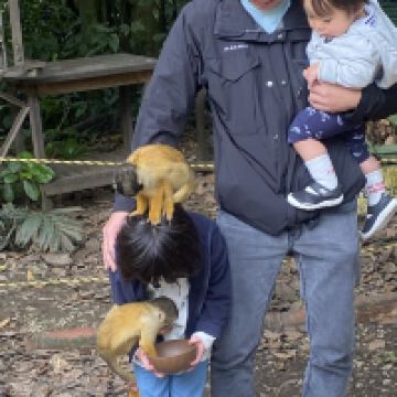 評論圖片 5