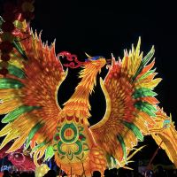 評論圖片 6