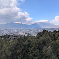 評論圖片 4