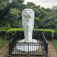 評論圖片 5