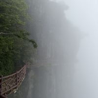 評論圖片 5