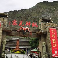 評論圖片 5