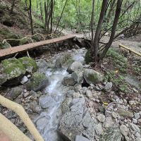 評論圖片 3