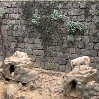 評論圖片 3