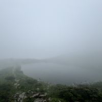 評論圖片 6