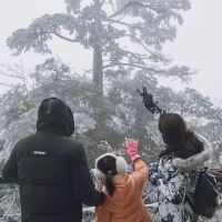 評論圖片 8