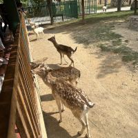 評論圖片 4