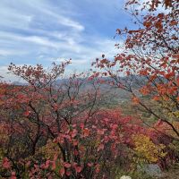 評論圖片 8
