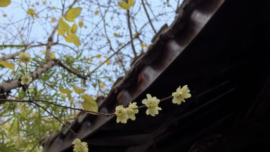 虎丘非常值得一去。冬日景色都如此美，待到山花烂漫时再来一次吧