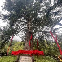 評論圖片 9