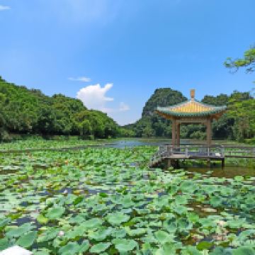 評論圖片 6