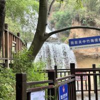 評論圖片 2