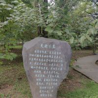 評論圖片 2