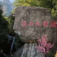 評論圖片 1