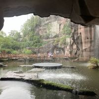 評論圖片 7