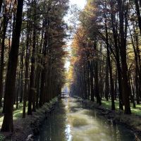 評論圖片 1