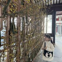 評論圖片 8