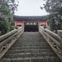 評論圖片 3