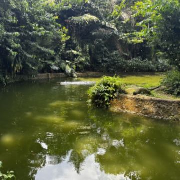 評論圖片 2