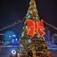 評論圖片 9
