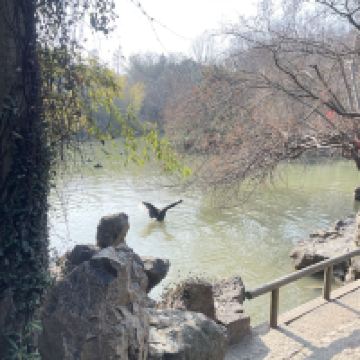 評論圖片 6